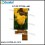 3.5 inch TFT LCD MODULE CT035BJL19