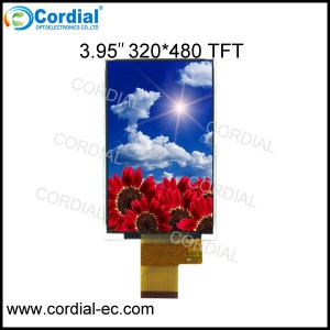 3.95 inch TFT LCD MODULE CT040BJL40