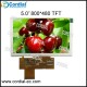 5.0 inch TFT LCD MODULE CT050BPL07