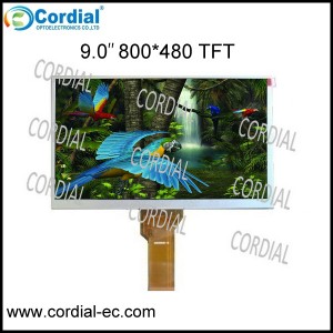9.0 inch TFT LCD MODULE CT090BPL06