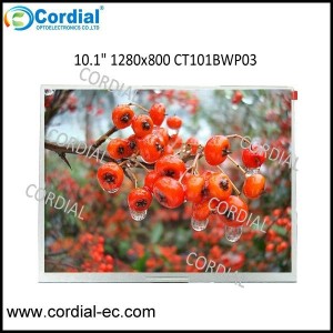 10.1 inch TFT LCD MODULE CT101BWP03