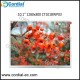10.1 inch TFT LCD MODULE CT101BWP03